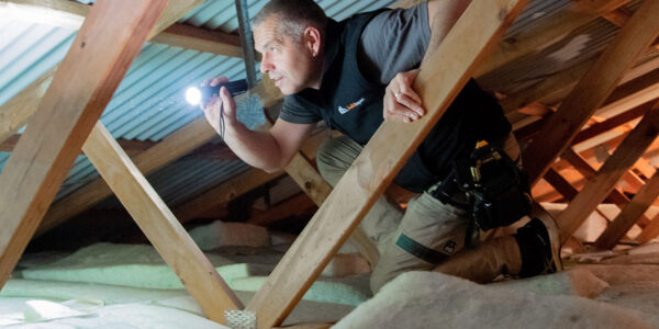 services-pre-purchase-building